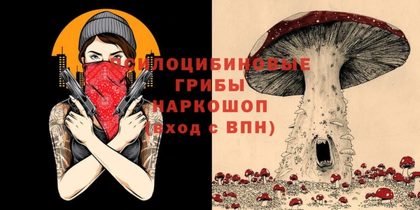 мдма Заводоуковск