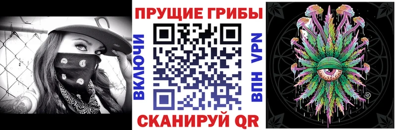 Галлюциногенные грибы прущие грибы  Купить закладки  Почеп 
